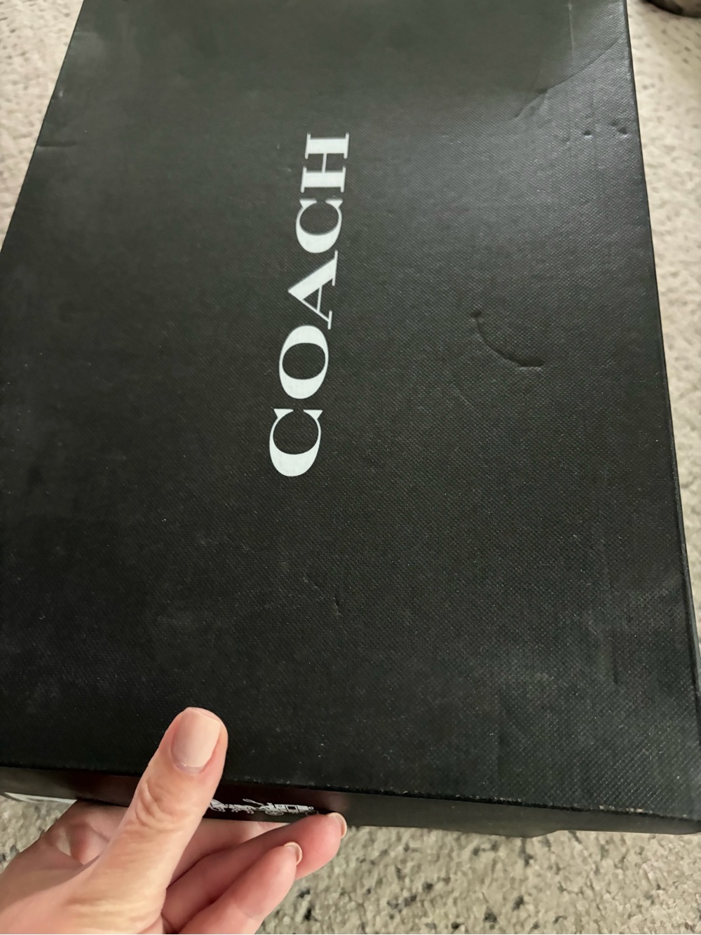 Coach Black/Coal Branded Shoe Box